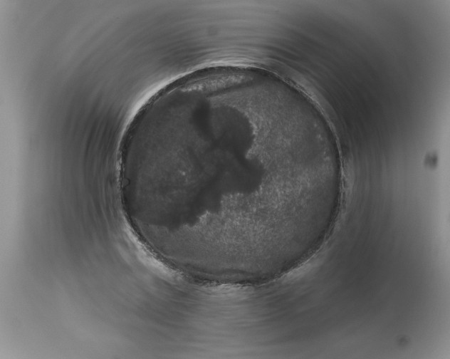 X0000113610779200910021803