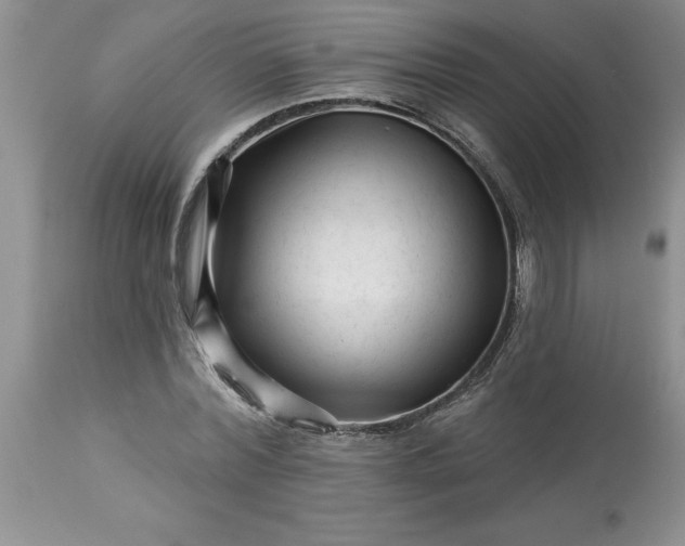 X0000113610780200910021803