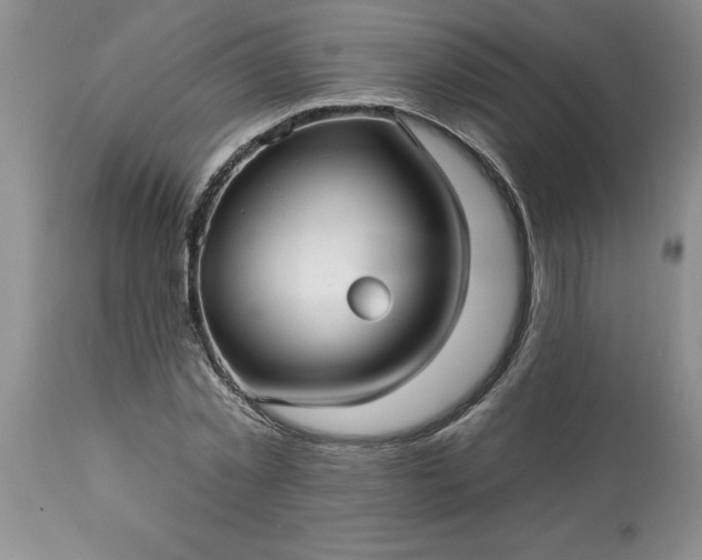 X0000113610781200910021803