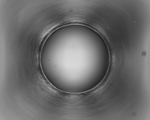 X0000113610782200910021803