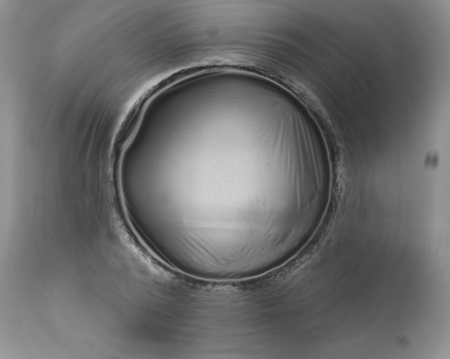 X0000113610784200910021803