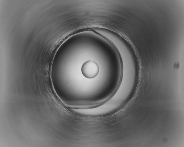 X0000113610785200910021803