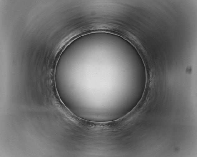 X0000113610786200910021803