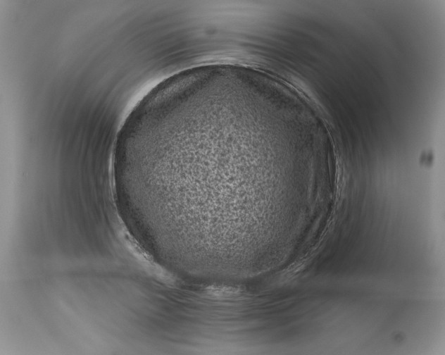 X0000113610788200910021803