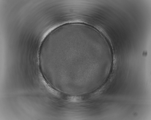 X0000113610789200910021803