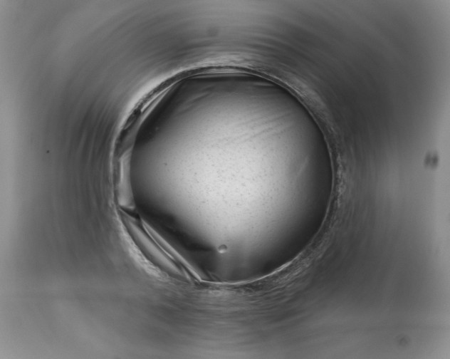 X0000113610792200910021803