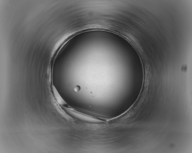 X0000113610796200910021803