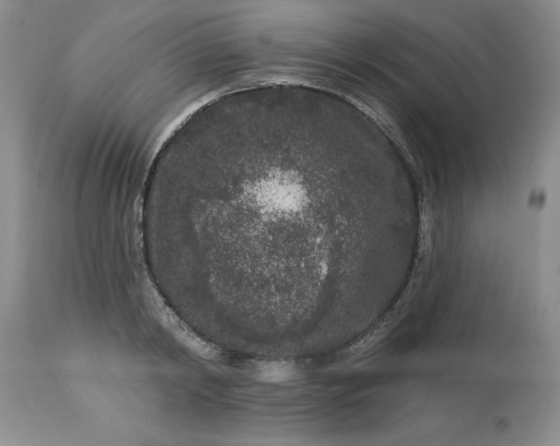 X0000113610798200910021803