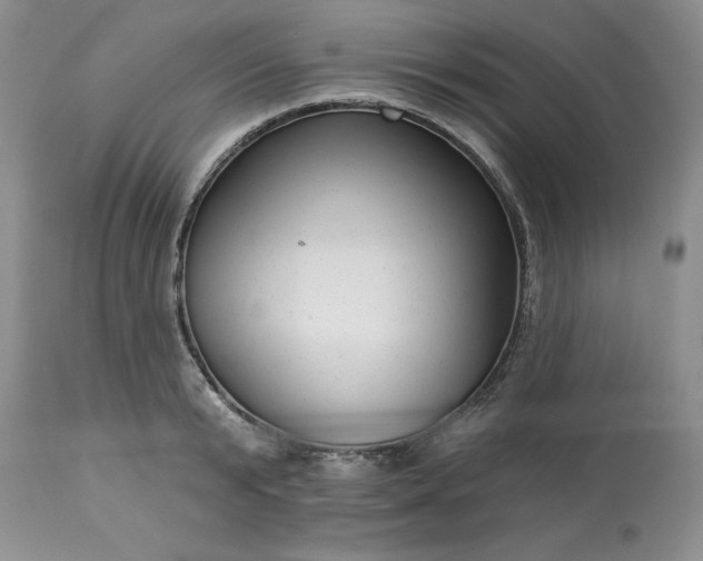 X0000113610799200910021803