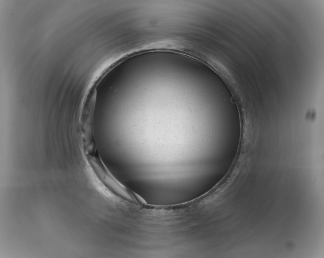 X0000113610800200910021803