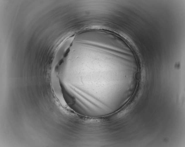 X0000113610801200910021803