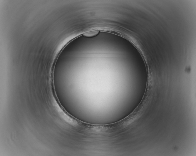 X0000113610803200910021803