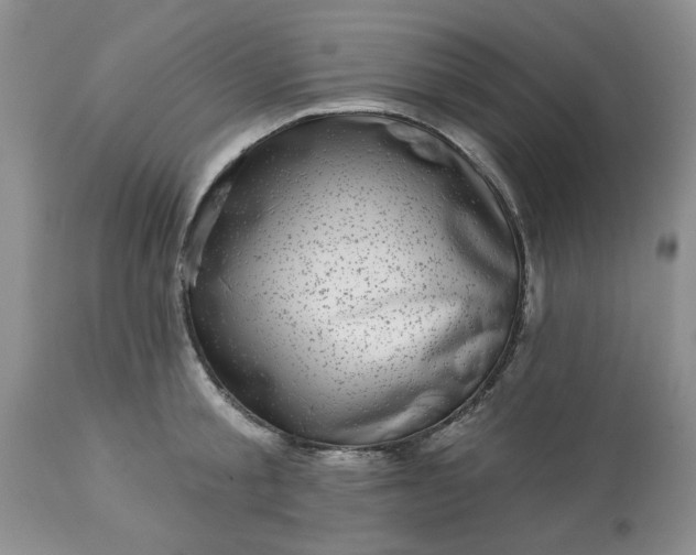 X0000113610805200910021803