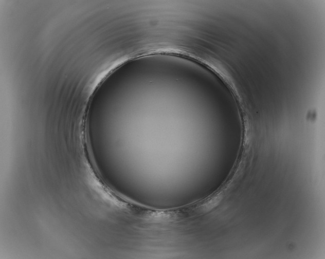 X0000113610806200910021803