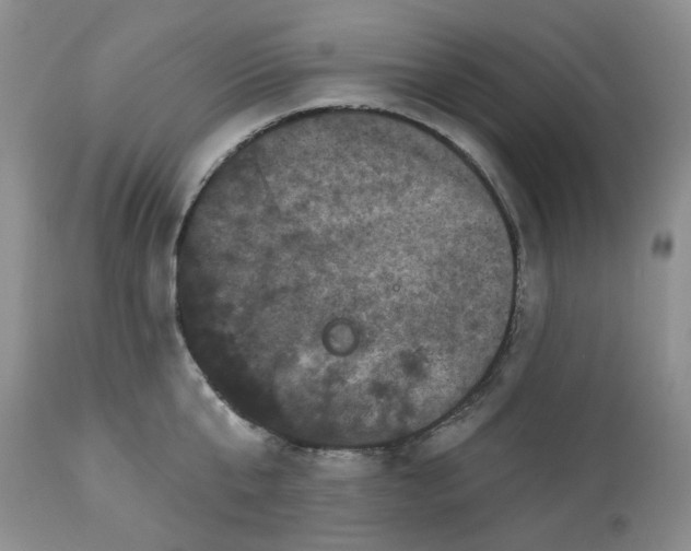 X0000113610807200910021803