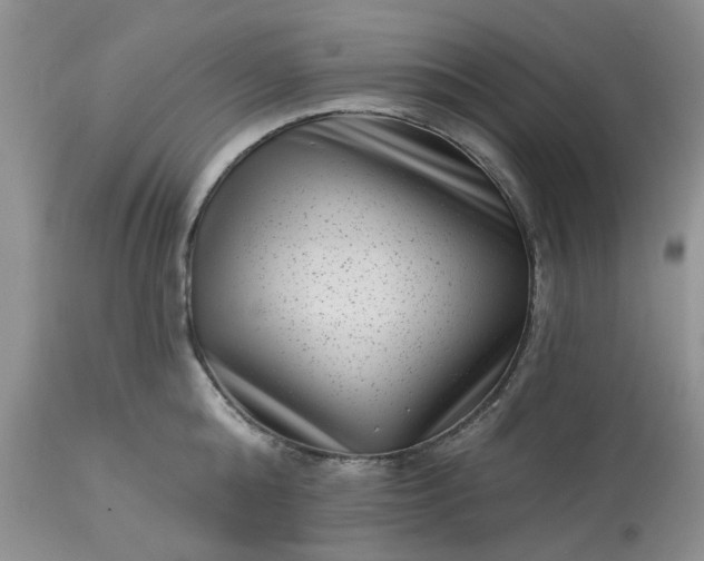 X0000113610808200910021803