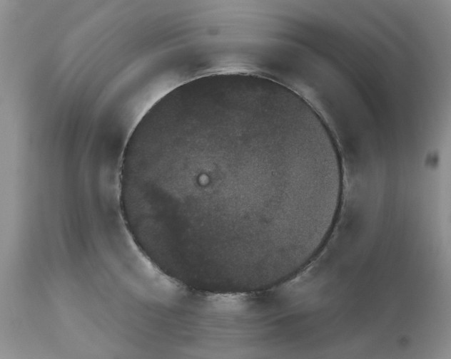 X0000113610810200910021803