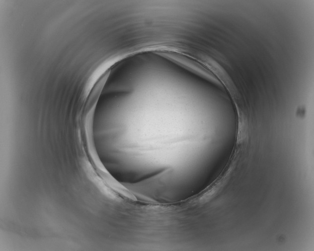 X0000113610812200910021803