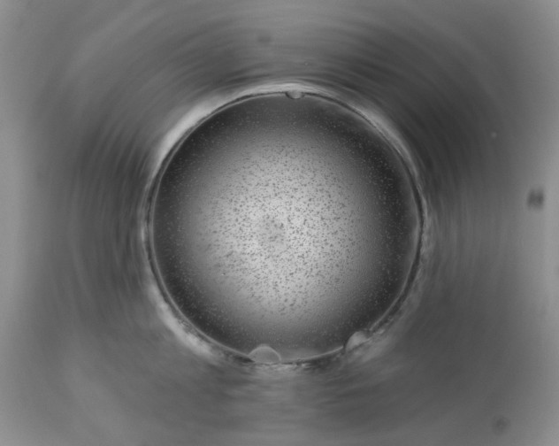 X0000113610813200910021803