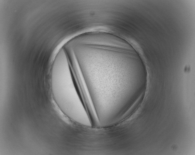 X0000113610816200910021803