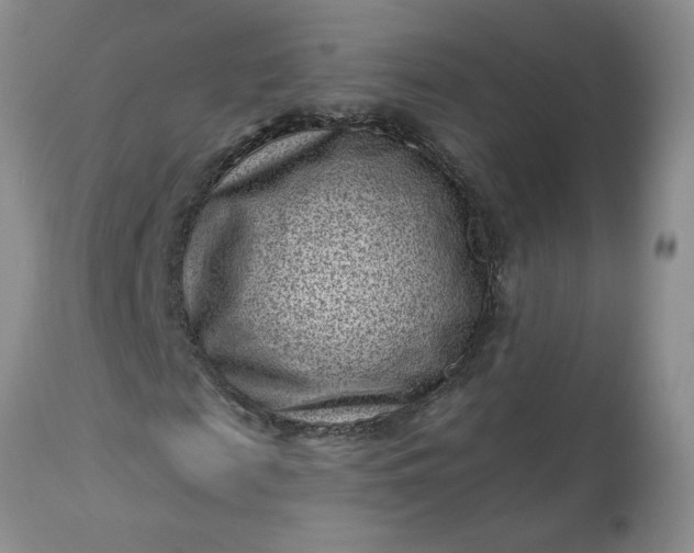 X0000113610817200910021802