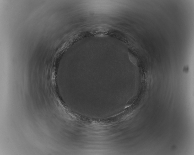 X0000113610818200910021802