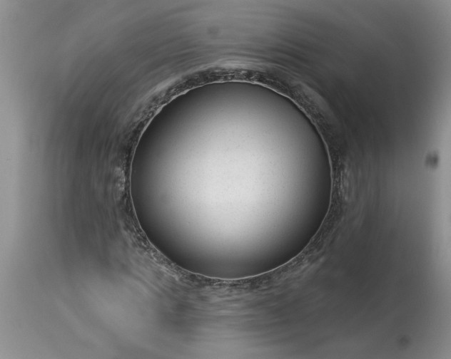 X0000113610821200910021802