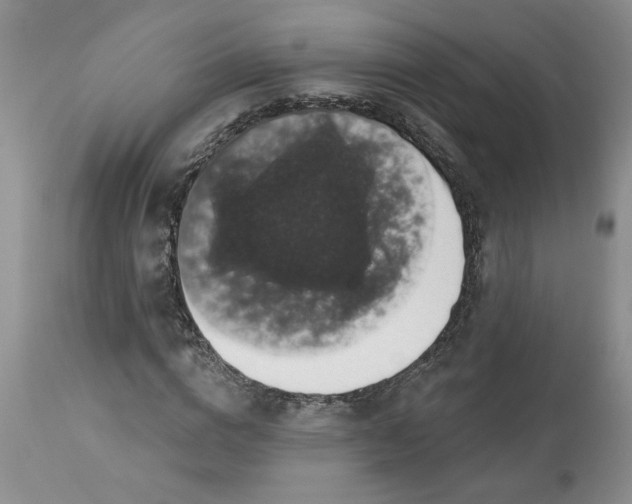 X0000113610824200910021802