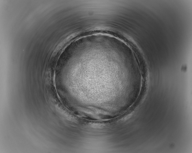 X0000113610825200910021802