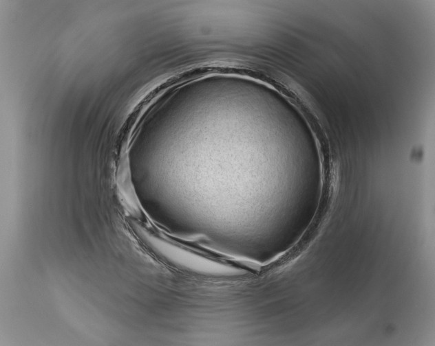 X0000113610829200910021802