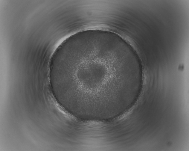 X0000113610830200910021802