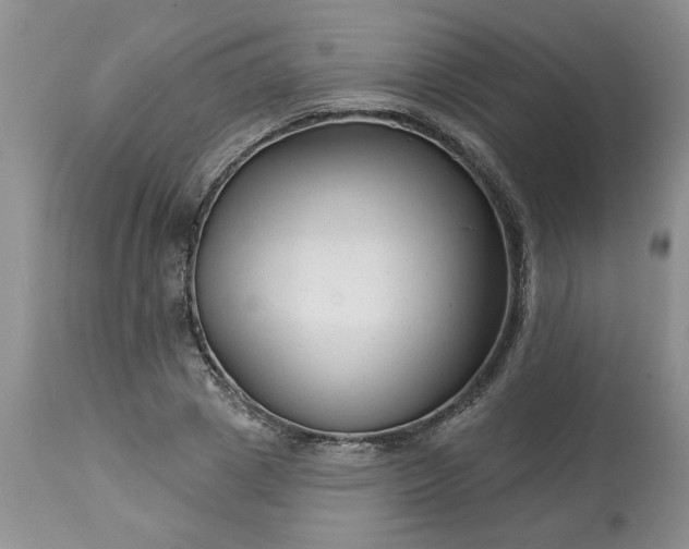 X0000113610833200910021802