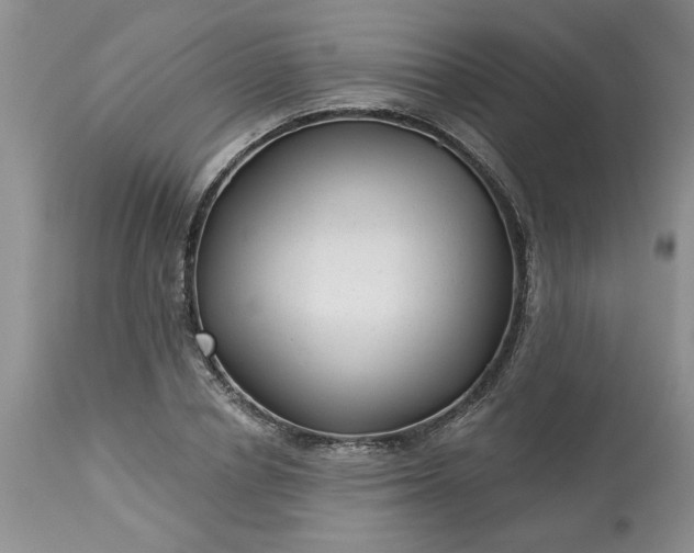 X0000113610834200910021802