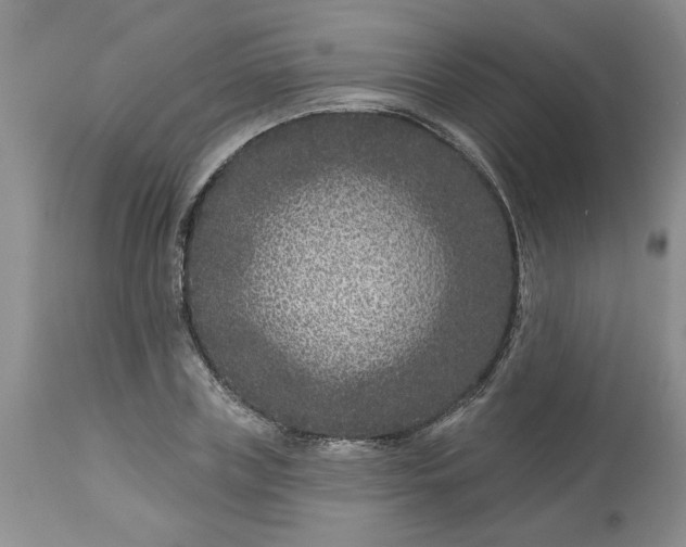 X0000113610835200910021802