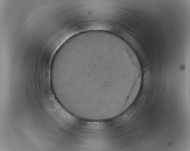 X0000113610836200910021802