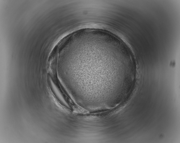 X0000113610837200910021802