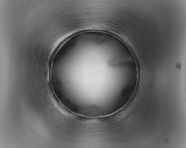 X0000113610838200910021802