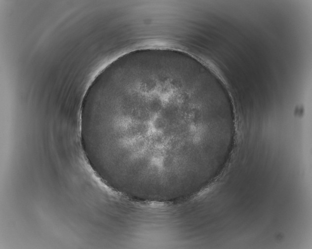 X0000113610839200910021802