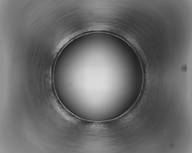 X0000113610842200910021802