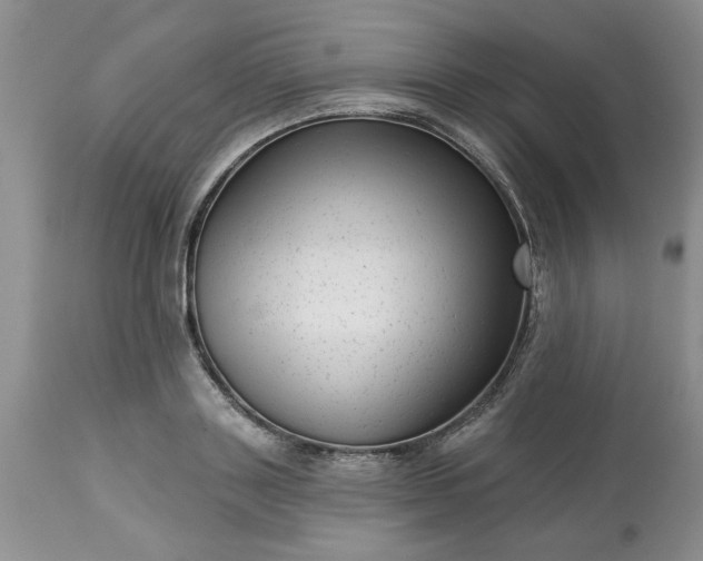 X0000113610843200910021802