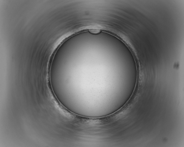 X0000113610845200910021802