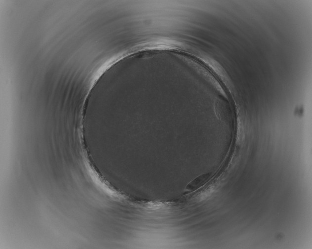 X0000113610850200910021802