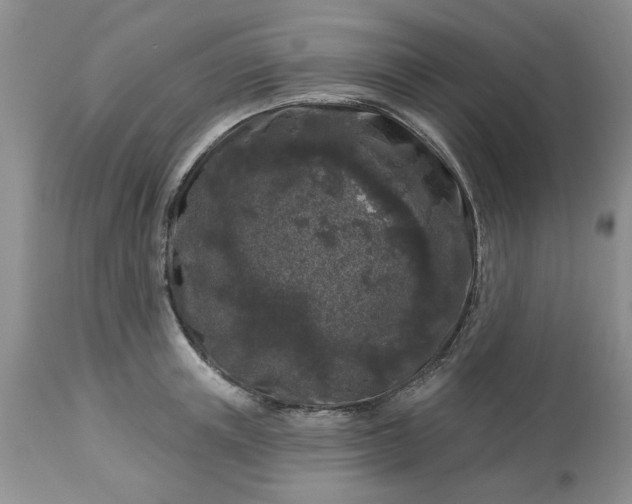 X0000113610851200910021802