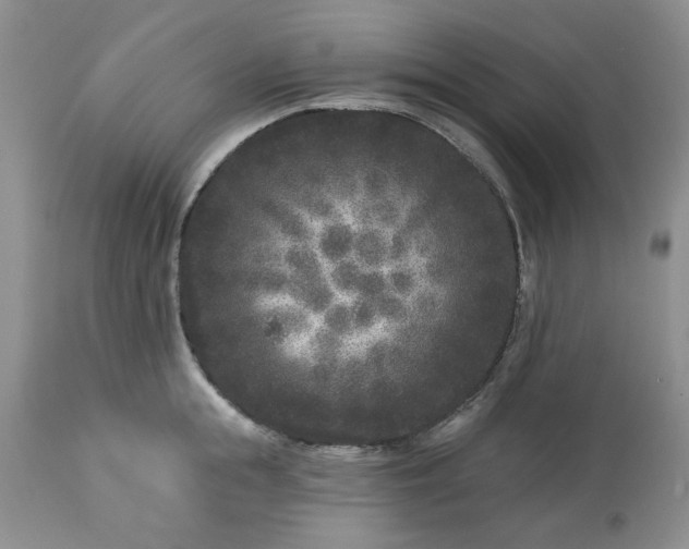 X0000113610855200910021803