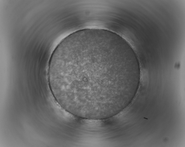 X0000113610856200910021803