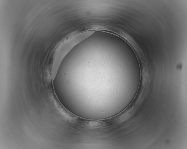 X0000113610857200910021803