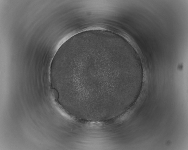 X0000113610858200910021803