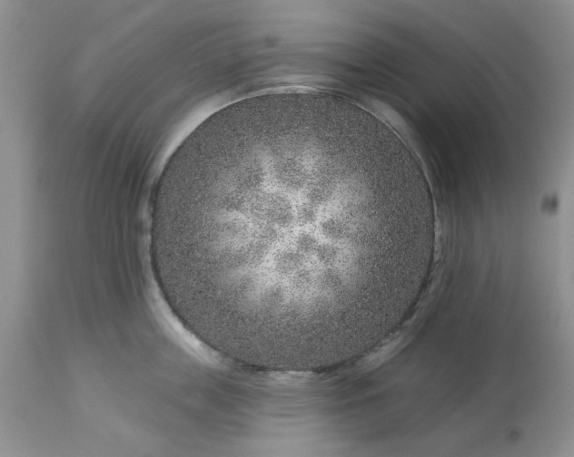 X0000113610859200910021803