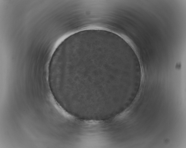 X0000113610862200910021803