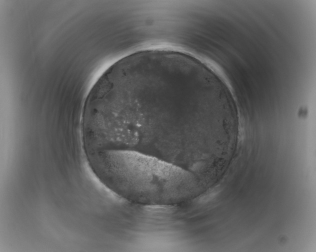 X0000113610863200910021803